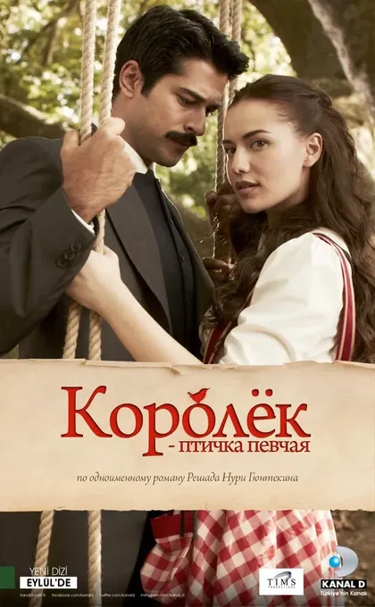 Бенгю Эргин